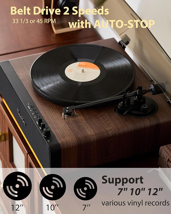 Vinyl Record Player, High Fidelity Belt Drive Turntable
