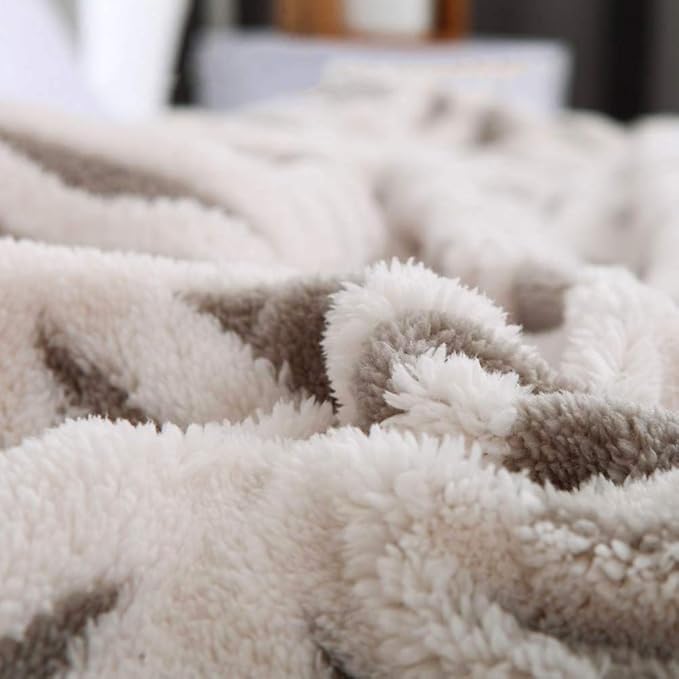 LOMAO Sherpa Fleece Blanket 60x80 Fuzzy Soft Throw Blanket Dual Sided Blanket for Couch Sofa Bed (Grey, 60''x80'')