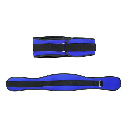 Back Support Lumbar Support Belt Lower Back Brace for Pain Relief Sciatica Herniated Disc Scoliosis Posture Correction Adjustable Mesh Support Straps for Men Women Fitness Waist Protection (Blue, M)