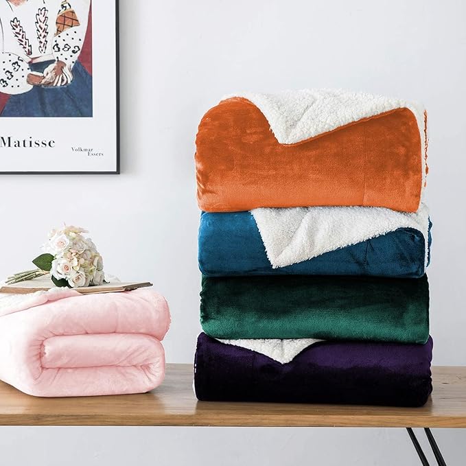 IR Imperial Rooms Sherpa Blankets Queen Size - Thick and Warm Blankets for Winter, Reversible Soft and Fuzzy Fluffy Queen Size Blanket for Bed, Teal, 90x90 Inches