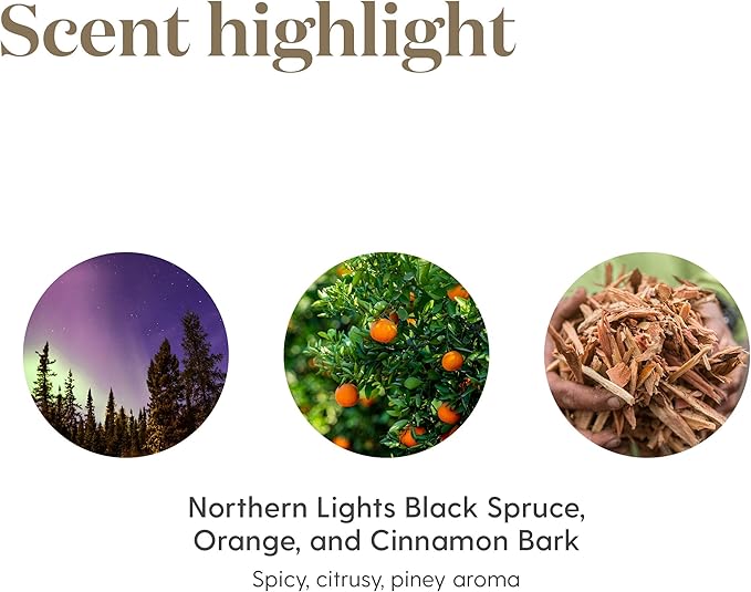 Young Living Christmas Spirit 5 ml - Festive Aroma for Holiday Delight - Orange, Cinnamon Bark, Spruce Blend - Uplifting Ambiance, Travel Essential Oil