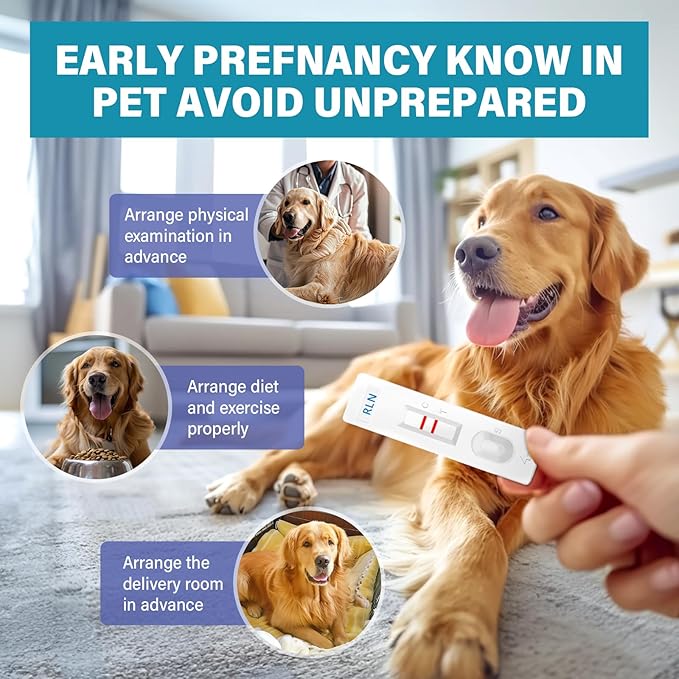 Dog Pregnancy Test, 15 min-Accurate and Fast Pregnancy Test Strips, Convenient & Disposable Pet Pregnancy Supplies at Home, 4Pcs/Kit Suitable for Dogs & Cats