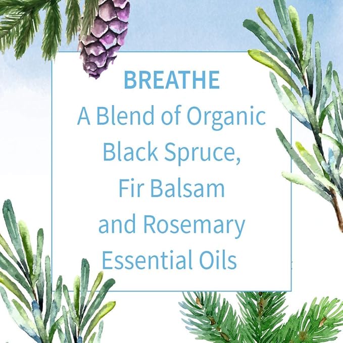 Garden of Life Essential Oils, 100% Organic & Pure Rosemary, Black Spruce & Fir Balsam Essential Oil - Breathe Blend for Diffusers, Home, Skin & Body Care, Clarifying, Clearing, Focusing, 0.5 fl oz