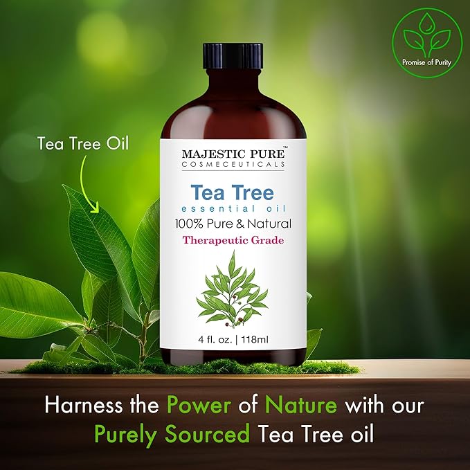 MAJESTIC PURE Tea Tree Essential Oil | 100% Pure and Natural Oil | Premium Grade Essential Oils for Hair Care, Home Diffusers, Skin, Aromatherapy, Massage and Humidifiers | 4 Fl Oz (Pack of 2)