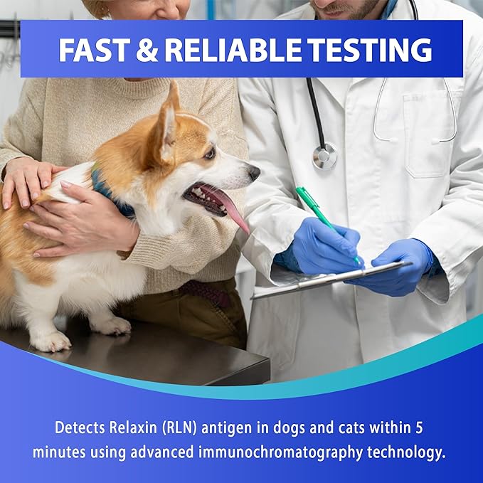 Dog Cat Pregnancy Test kit at Home – 2 Tests/Pack Canine & Feline Pregnancy Screening Kit Relaxin Test Kit