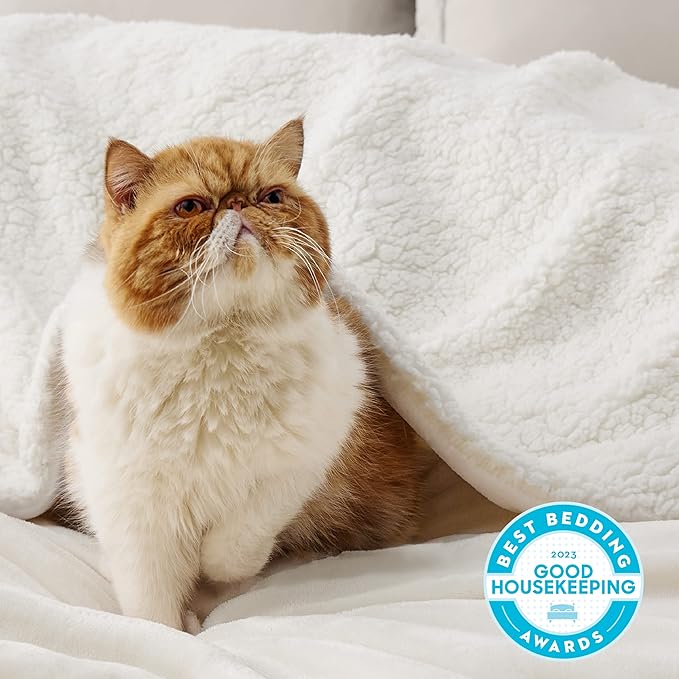 Bedsure Sherpa Fleece Throw Blanket for Couch - Thick and Warm, Soft Fuzzy Plush Throw Blanket for Winter, Cream, 50x60 Inches
