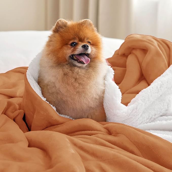 Bedsure Sherpa Fleece Throw Blanket for Couch - Thick and Warm, Soft Fuzzy Plush Throw Blanket for Winter, Burnt Orange, 50x60 Inches